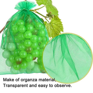 Planet Gates Fruit Protection Bags 100PCS Grapes Mesh Bag Pest Control Anti-Bird Vegetable Fruits Net Garden Planter Strawberry Grow Bags