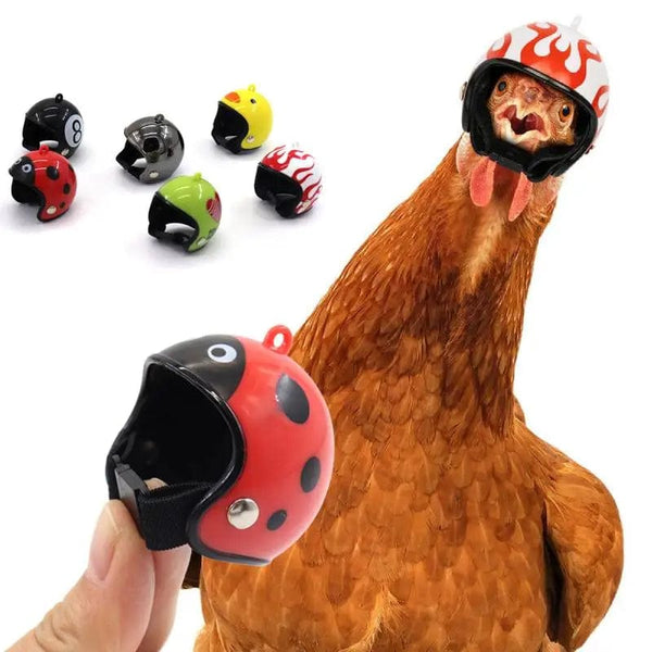 Planet Gates Funny Chicken Helmet Bird Protect Cap Sun Rain Protection Helmet DIY Small Pet Accessories Small Pet Protective Gear Supplies