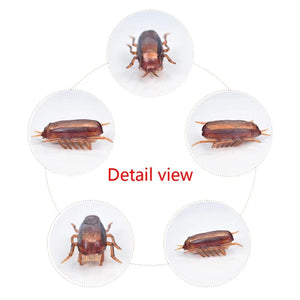Planet Gates Funny Electric Bugs Cat Toy Automatic Escape Mini Robot Bug Vibration Insect Toys for Cats Battery Operated Cockroach Ladybug