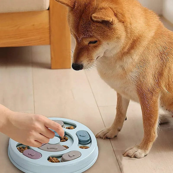 Planet Gates G504A blue Pet Feeder Dog Educational Toys Increase Puppy Intellectual Food Dispenser Interactive Educational Feeding Toys