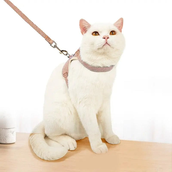 Planet Gates G621A Dog Leash Cute Vest for Small Pets Kittens Undershirt Type Breathable Adjustable Chest Harness Outdoor Walking Pet Supplies