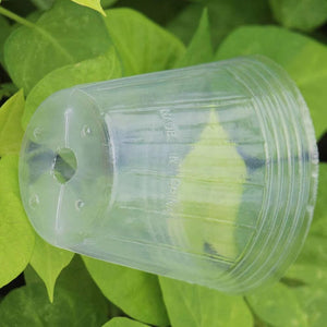 Planet Gates Garden Transparency Nursery Pots Planting Nutrition Cup Orchid Propagation Container Seedling Bag Soft Plastic Flowers Pot