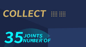 Planet Gates Gemini ICY DBS Dream Fairy Season 2 Constellation Maytree OB11 Doll BJD collectible Cute Animal 13cm SD Gift