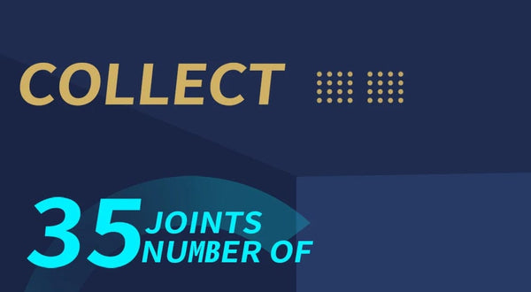 Planet Gates Gemini ICY DBS Dream Fairy Season 2 Constellation Maytree OB11 Doll BJD collectible Cute Animal 13cm SD Gift