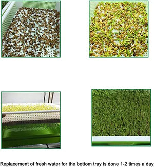 Planet Gates Germination Tray Tray Seed Germination Tray Seedling Tray Wheatgrass Seed Planting Soilless Cultivation Planting Pot
