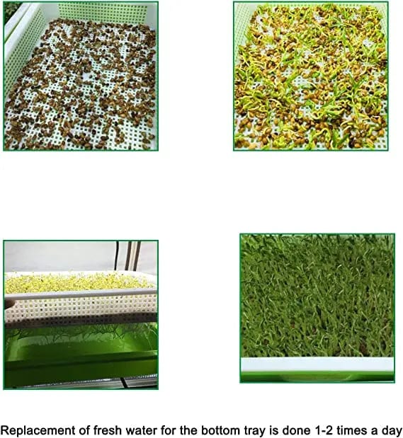 Planet Gates Germination Tray Tray Seed Germination Tray Seedling Tray Wheatgrass Seed Planting Soilless Cultivation Planting Pot