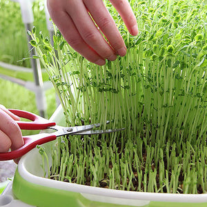 Planet Gates Germination Tray Tray Seed Germination Tray Seedling Tray Wheatgrass Seed Planting Soilless Cultivation Planting Pot