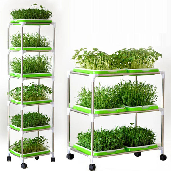 Planet Gates Germination Tray Tray Seed Germination Tray Seedling Tray Wheatgrass Seed Planting Soilless Cultivation Planting Pot