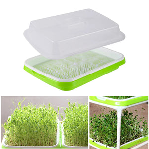 Planet Gates Germination Tray Tray Seed Germination Tray Seedling Tray Wheatgrass Seed Planting Soilless Cultivation Planting Pot
