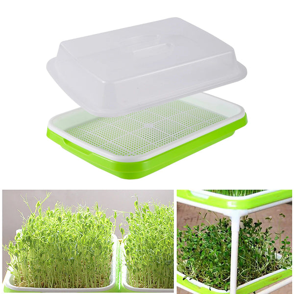 Planet Gates Germination Tray Tray Seed Germination Tray Seedling Tray Wheatgrass Seed Planting Soilless Cultivation Planting Pot