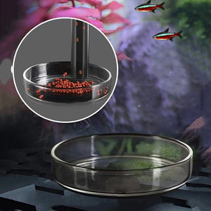 Planet Gates Glass Aquarium Feeder Tube Dish Transparent Fish Tank Shrimp Snail Food Feeder Bowl Aquarium Feeding Accessories Shrimp Feeders