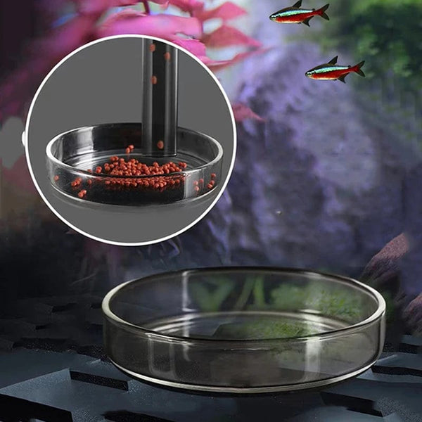 Planet Gates Glass Aquarium Feeder Tube Dish Transparent Fish Tank Shrimp Snail Food Feeder Bowl Aquarium Feeding Accessories Shrimp Feeders