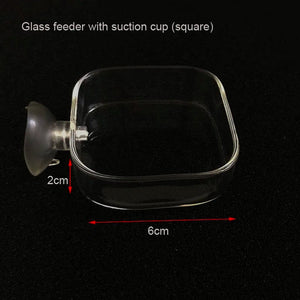Planet Gates Glass Aquarium Feeder Tube Dish Transparent Fish Tank Shrimp Snail Food Feeder Bowl Aquarium Feeding Accessories Shrimp Feeders