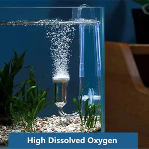 Planet Gates Glass / CHINA Air Oxygen Atomizer Pump Check Valve For Aquarium Fish Tank Mini Nano Air Bubble Stone Generator Fish Tank Oxygen Filter Pump