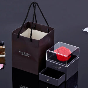 Planet Gates gold-05 Projection Necklace Set With Rose Gift Box 100 Languages I Love You Heart Pendant Jewelry 2023 Hot Sale Accessories Dropshipping