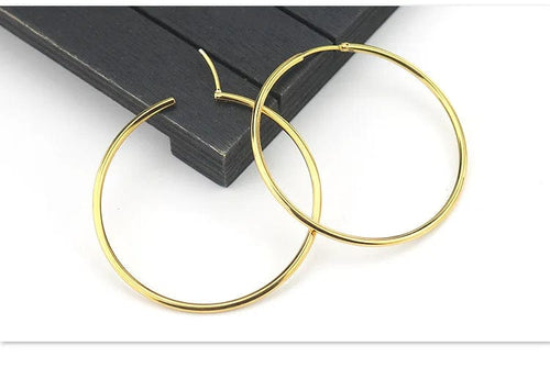 Planet Gates gold / 16mm New Stainless Steel Fashion Small Big Circle Women Hoop Earrings Exaggerated Hoop Ear Loop Smooth Round Earring Party Jewelry