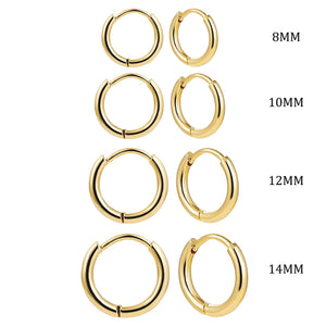 Planet Gates Gold-4 pair 4 pair 8/10/12/14mm Stainless Steel Round Circle Hoop Earrings for Women Tiny Hoops Ear Piercing Loop Ring