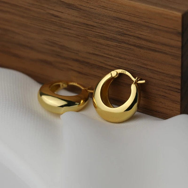 Planet Gates gold ANENJERY Geometric Chunky Hoop Earrings for Women Punk Ear Jewelry Wholesale