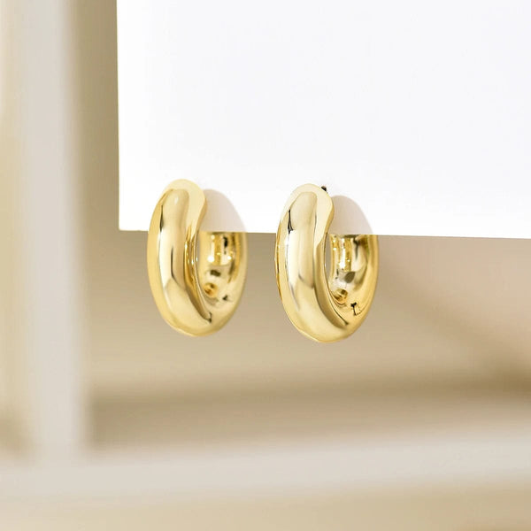 Planet Gates Gold-color Trendy Circle Twists Hoop Earring for Women Simple Temperament Hyperbole Gold Color Ear Daily Wear Jewelry Party Gifts