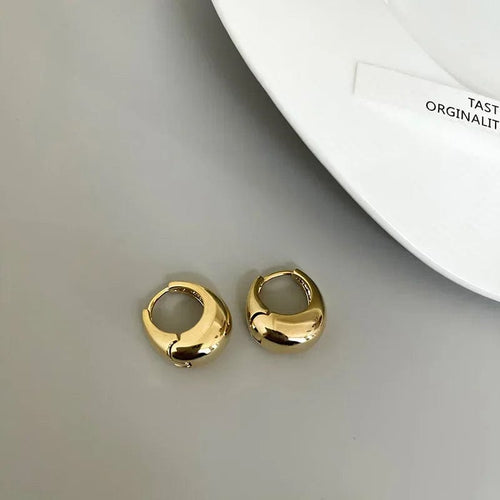 Planet Gates Gold Stainless Steel Smooth Metal Chunky Hoop Earrings For Women Girls Fashion Round Circle Hoops Statement Earrings Punk Jewelry