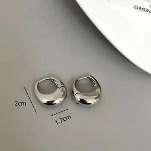 Planet Gates Gold Stainless Steel Smooth Metal Chunky Hoop Earrings For Women Girls Fashion Round Circle Hoops Statement Earrings Punk Jewelry