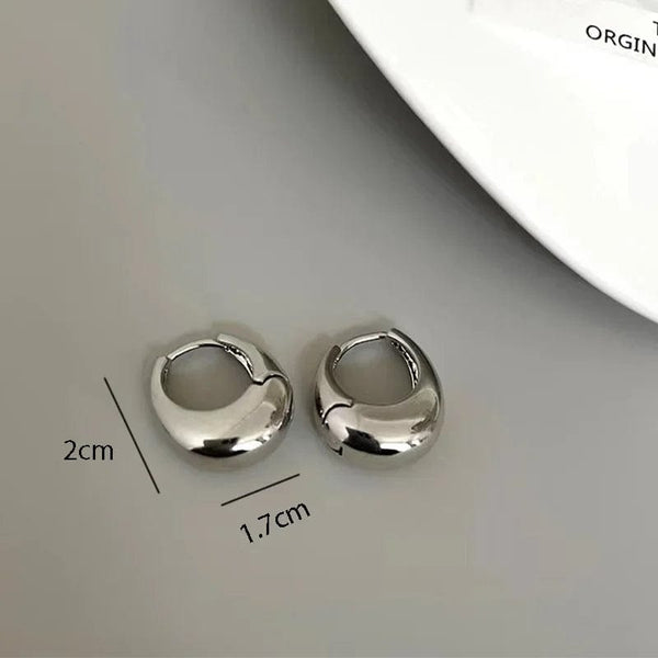 Planet Gates Gold Stainless Steel Smooth Metal Chunky Hoop Earrings For Women Girls Fashion Round Circle Hoops Statement Earrings Punk Jewelry