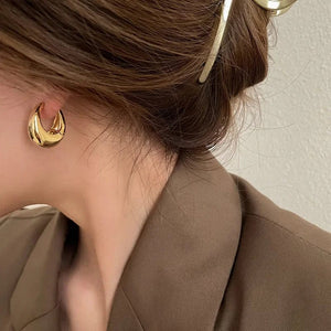 Planet Gates Gold Stainless Steel Smooth Metal Chunky Hoop Earrings For Women Girls Fashion Round Circle Hoops Statement Earrings Punk Jewelry