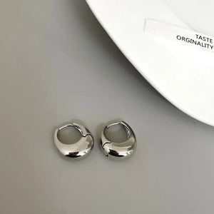 Planet Gates Gold Stainless Steel Smooth Metal Chunky Hoop Earrings For Women Girls Fashion Round Circle Hoops Statement Earrings Punk Jewelry