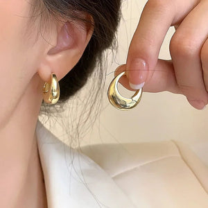 Planet Gates Gold Stainless Steel Smooth Metal Chunky Hoop Earrings For Women Girls Fashion Round Circle Hoops Statement Earrings Punk Jewelry