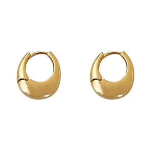 Planet Gates Gold Stainless Steel Smooth Metal Chunky Hoop Earrings For Women Girls Fashion Round Circle Hoops Statement Earrings Punk Jewelry