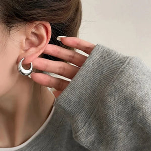 Planet Gates Gold Stainless Steel Smooth Metal Chunky Hoop Earrings For Women Girls Fashion Round Circle Hoops Statement Earrings Punk Jewelry