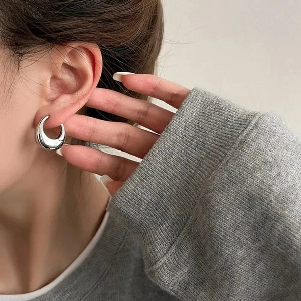 Planet Gates Gold Stainless Steel Smooth Metal Chunky Hoop Earrings For Women Girls Fashion Round Circle Hoops Statement Earrings Punk Jewelry