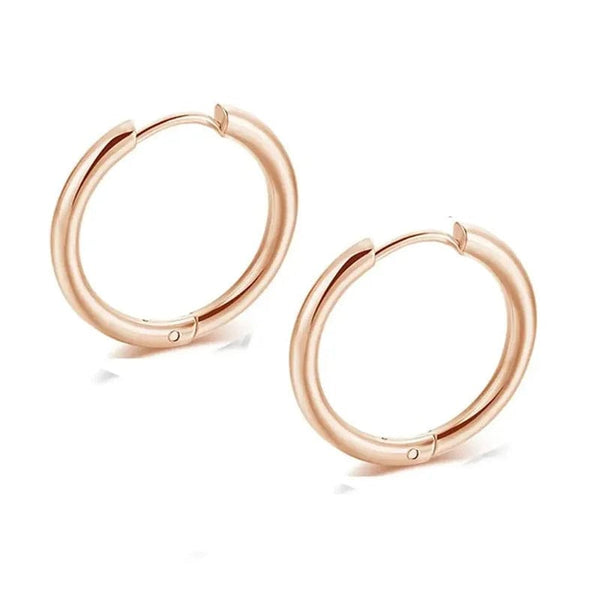 Planet Gates goldcolor / 8mm New Stainless Steel Small Chunky Earrings For Women Gold Color Smooth Circle Ear For Men Ring Thick Fat Huggie Hoops Piercing