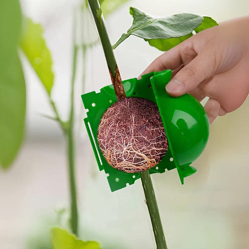 Planet Gates Green / 10pcs 10pcs/20pcs, Tree Root Planting Box, Rooting Ball Transplant Tool, Plant Root High Pressure Box Grafting Cuttings Root Device, Air Layer Pod, For Plant Cutting Seedlings For Plant