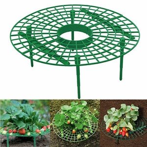 Planet Gates Green 1pc, Upgraded Strawberry Trellis Stylish Strawberry Planter Stand Plastic Coating Plant Stem Support For Gardening Supplies