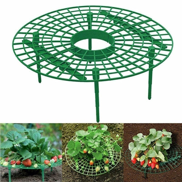 Planet Gates Green 1pc, Upgraded Strawberry Trellis Stylish Strawberry Planter Stand Plastic Coating Plant Stem Support For Gardening Supplies