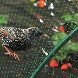 Planet Gates Green / 2x5m/199.9x500.13cm Protect Your Plants, Fruits, Trees, and Vegetables with 1pc Anti-bird Netting Deer Fence Pond Netting!