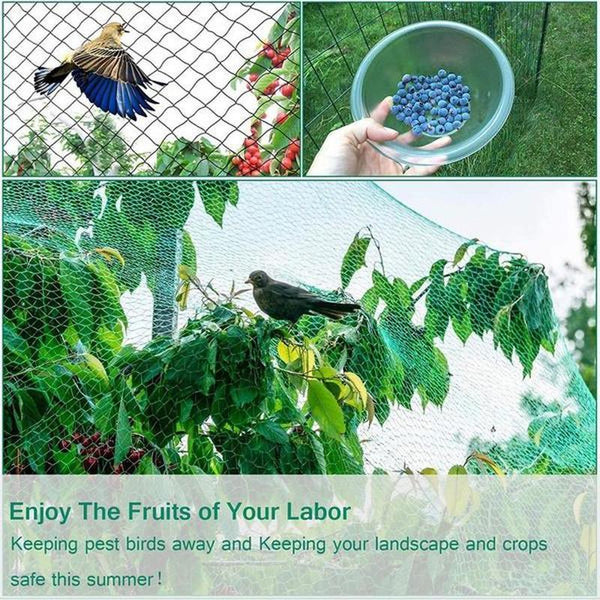 Planet Gates Green / 2x5m/199.9x500.13cm Protect Your Plants, Fruits, Trees, and Vegetables with 1pc Anti-bird Netting Deer Fence Pond Netting!