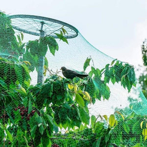 Planet Gates Green / 2x5m/199.9x500.13cm Protect Your Plants, Fruits, Trees, and Vegetables with 1pc Anti-bird Netting Deer Fence Pond Netting!