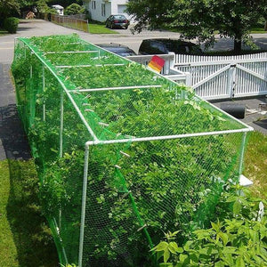 Planet Gates Green / 2x5m/199.9x500.13cm Protect Your Plants, Fruits, Trees, and Vegetables with 1pc Anti-bird Netting Deer Fence Pond Netting!