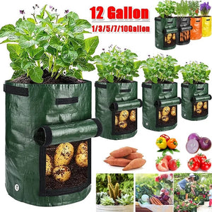 Planet Gates Green Grow Bag / 25x22cm    3 gallons Potato Grow Bags PE Vegetable Planter Growing Bag DIY Fabric Grow Pot Outdoor Garden Pots Garden Tools Veget Garden 1-12 Gallons