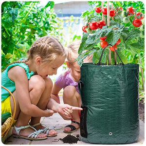 Planet Gates Green Grow Bag / 25x22cm    3 gallons Potato Grow Bags PE Vegetable Planter Growing Bag DIY Fabric Grow Pot Outdoor Garden Pots Garden Tools Veget Garden 1-12 Gallons