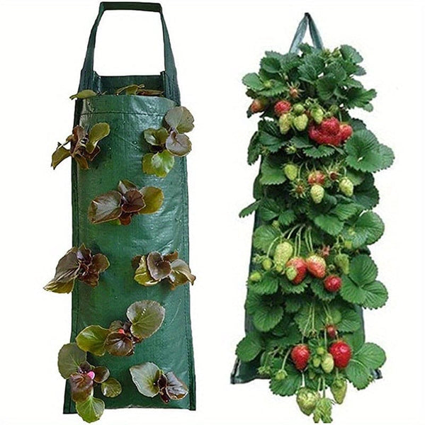 Planet Gates Green Grow Delicious Strawberries With This 1pc Hanging Planting Bag - Perfect For Outdoor Yards!