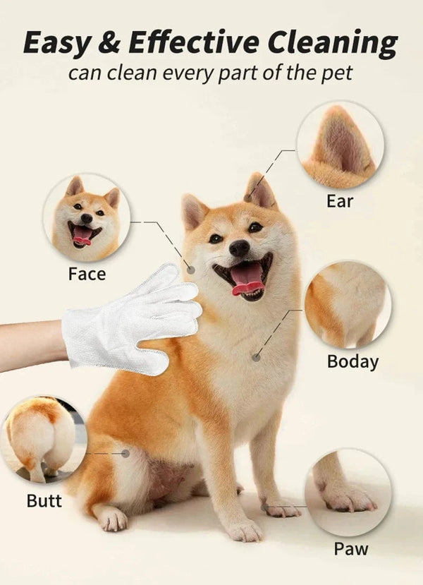 Planet Gates green New 6PCS Pet Wash-Free Gloves Cat Bath Deodorant Wipes Disposable Cleaning Dry Cleaning Dog Wipes Gentle And Convenient Gloves