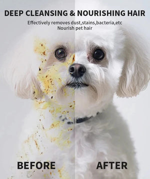 Planet Gates green New 6PCS Pet Wash-Free Gloves Cat Bath Deodorant Wipes Disposable Cleaning Dry Cleaning Dog Wipes Gentle And Convenient Gloves