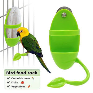 Planet Gates Green Parrot Food Feeder Bird Perching Frame Fun Bird Cage Feeder Parrot Feeding Toy Plastic Pet Feeding Supplies Parrot Feeding Toy