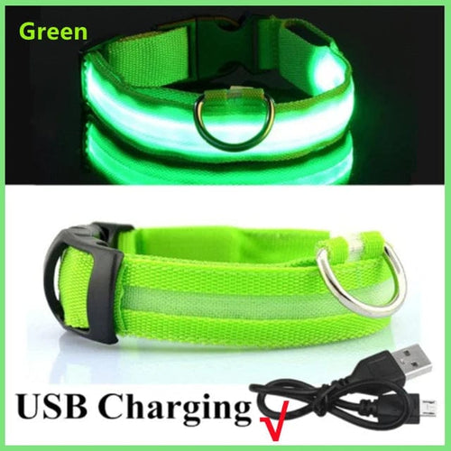 Planet Gates Green USB Charging / L Neck 41-52 CM LED Glowing Dog Collar Adjustable Flashing Rechargea Luminous Collar Night Anti-Lost Dog Light HarnessFor Small Dog Pet Products