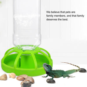 Planet Gates Green Water Feeder Earth Turtle Accessory Gecko Terrarium Accessories Reptiles for Pearlescent