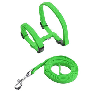 Planet Gates Green / Weight within 5kg / CN Low Price Rabbit Cat Harness and Leash Set Adjustable Nylon Harnesses for Bunny Kitten Pet Outdoor Walking Supplies Accessories