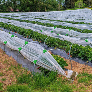 Planet Gates Greenhouse Clip 40pcs, Greenhouse Clamps Film Row Cover Netting Tunnel Hoop Clip Frame Shading Net Rod Clip For Season Plant Extension Support (40 Pieces, 10 Mm)